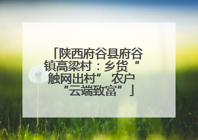 陕西府谷县府谷镇高梁村：乡货“触网出村” 农户“云端致富”