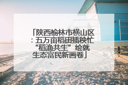 陕西榆林市横山区：五万亩稻田插秧忙 “稻渔共生”绘就生态富民新画卷