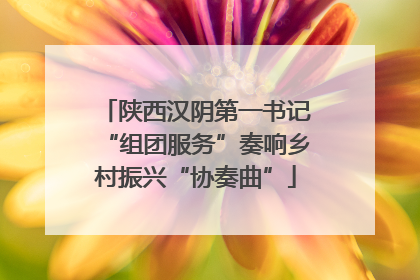 陕西汉阴第一书记“组团服务”奏响乡村振兴“协奏曲”
