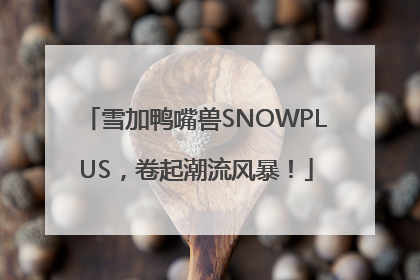 雪加鸭嘴兽SNOWPLUS，卷起潮流风暴！