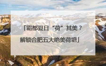霸都夏日“荷”其美？解锁合肥五大绝美荷塘