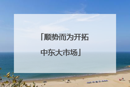 顺势而为开拓中东大市场