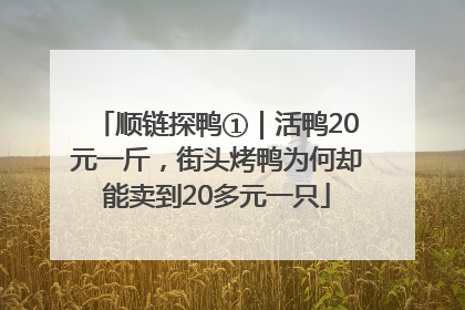 顺链探鸭①｜活鸭20元一斤，街头烤鸭为何却能卖到20多元一只