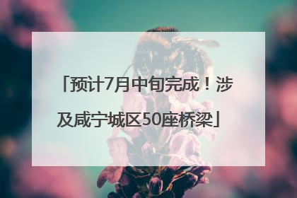 预计7月中旬完成！涉及咸宁城区50座桥梁