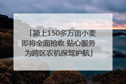 颍上150多万亩小麦即将全面抢收 贴心服务为跨区农机保驾护航