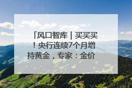 风口智库｜买买买！央行连续7个月增持黄金，专家：金价或仍易涨难跌