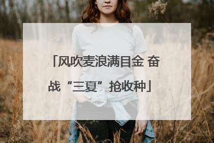 风吹麦浪满目金 奋战“三夏”抢收种