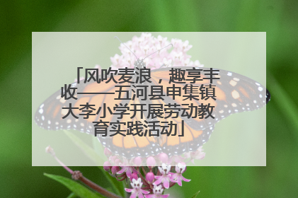 风吹麦浪，趣享丰收——五河县申集镇大李小学开展劳动教育实践活动