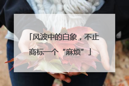 风波中的白象，不止商标一个“麻烦”