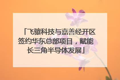 飞骧科技与嘉善经开区签约华东总部项目，赋能长三角半导体发展
