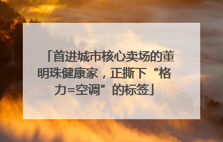 首进城市核心卖场的董明珠健康家，正撕下“格力=空调”的标签
