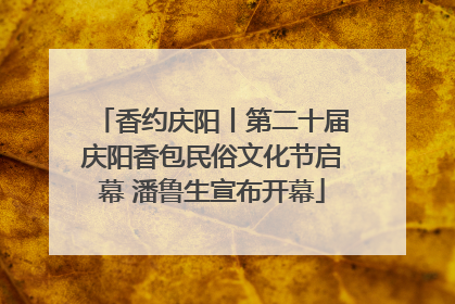香约庆阳丨第二十届庆阳香包民俗文化节启幕 潘鲁生宣布开幕
