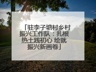 驻李子塘村乡村振兴工作队：扎根热土践初心 绘就振兴新画卷