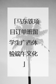 马东铁项目订单班留学生广西体验端午文化