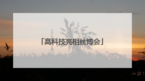 高科技亮相丝博会