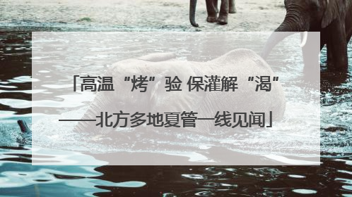 高温“烤”验 保灌解“渴”——北方多地夏管一线见闻
