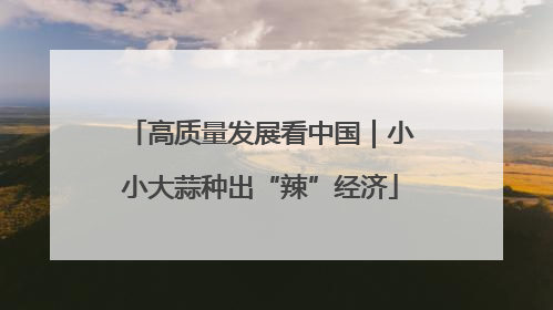 高质量发展看中国｜小小大蒜种出“辣”经济