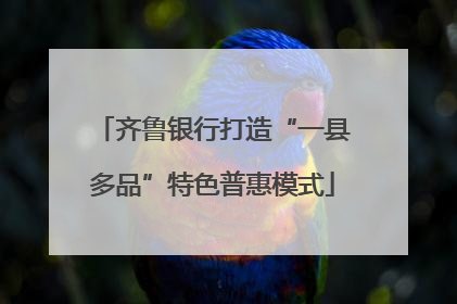 齐鲁银行打造“一县多品”特色普惠模式