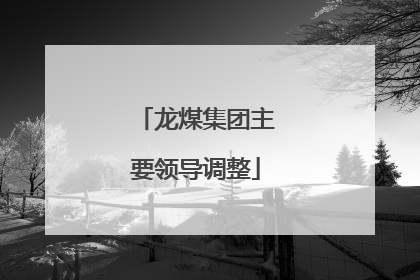 龙煤集团主要领导调整