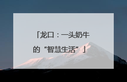 龙口：一头奶牛的“智慧生活”