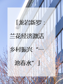 龙岩新罗：兰花经济激活乡村振兴“一池春水”