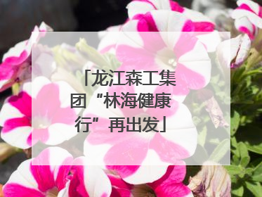 龙江森工集团“林海健康行”再出发