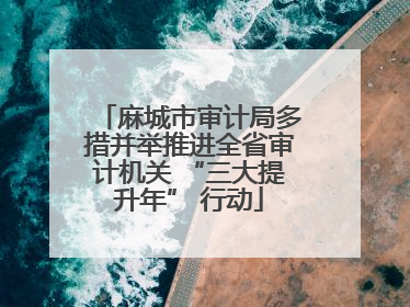 麻城市审计局多措并举推进全省审计机关 “三大提升年” 行动