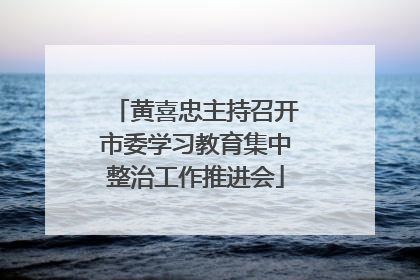 黄喜忠主持召开市委学习教育集中整治工作推进会