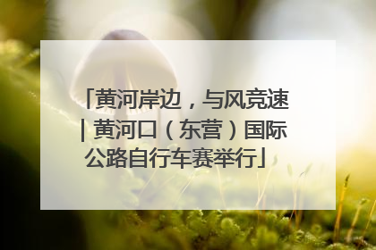 黄河岸边，与风竞速｜黄河口（东营）国际公路自行车赛举行