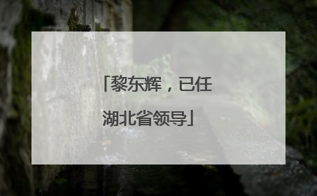 黎东辉，已任湖北省领导