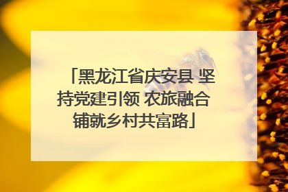 黑龙江省庆安县 坚持党建引领 农旅融合铺就乡村共富路