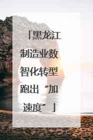 黑龙江制造业数智化转型跑出“加速度”