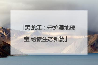 黑龙江：守护湿地瑰宝 绘就生态新篇