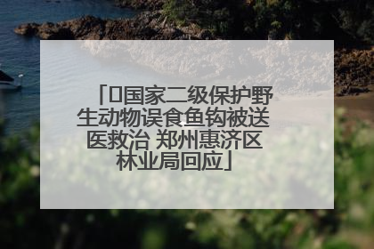 ﻿国家二级保护野生动物误食鱼钩被送医救治 郑州惠济区林业局回应