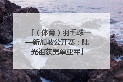 （体育）羽毛球——新加坡公开赛：陆光祖获男单亚军