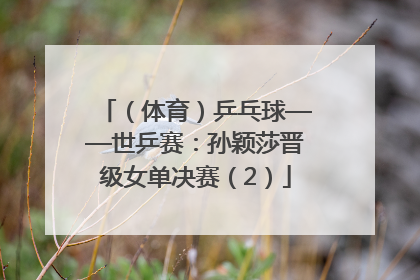 （体育）乒乓球——世乒赛：孙颖莎晋级女单决赛（2）