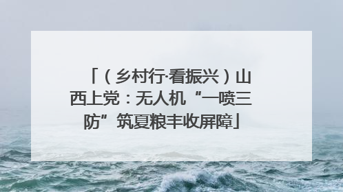 （乡村行·看振兴）山西上党：无人机“一喷三防”筑夏粮丰收屏障