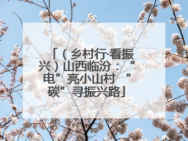 （乡村行·看振兴）山西临汾：“电”亮小山村 “碳”寻振兴路