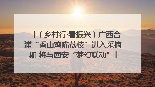 （乡村行·看振兴）广西合浦“香山鸡嘴荔枝”进入采摘期 将与西安“梦幻联动”