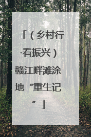 （乡村行·看振兴）赣江畔滩涂地“重生记”