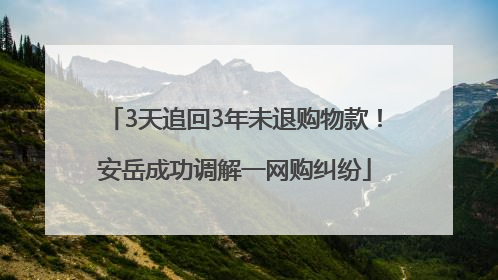 3天追回3年未退购物款！安岳成功调解一网购纠纷