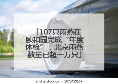 107只雨燕在颐和园完成“年度体检”，北京雨燕数量已超一万只