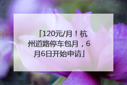 120元/月！杭州道路停车包月，6月6日开始申请