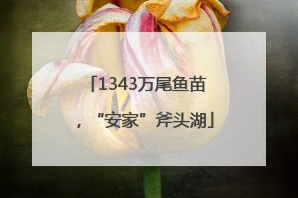1343万尾鱼苗，“安家”斧头湖