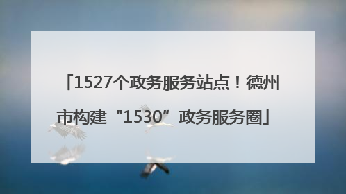 1527个政务服务站点！德州市构建“1530”政务服务圈