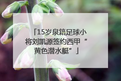 15岁泉籍足球小将刘凯源签约西甲“黄色潜水艇”