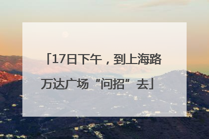17日下午，到上海路万达广场“问招”去