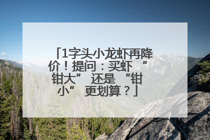 1字头小龙虾再降价！提问：买虾 “钳大” 还是 “钳小” 更划算？