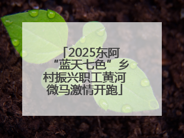 2025东阿“蓝天七色”乡村振兴职工黄河微马激情开跑