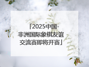 2025中国-非洲国际象棋友谊交流赛即将开赛